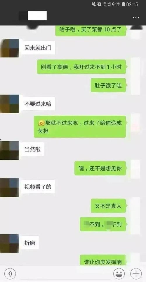 吃瓜聊天记录免费吃瓜,免费瓜果尽享其中